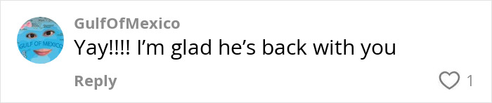 Social media comment expressing happiness about NASA astronaut&rsquo;s return.