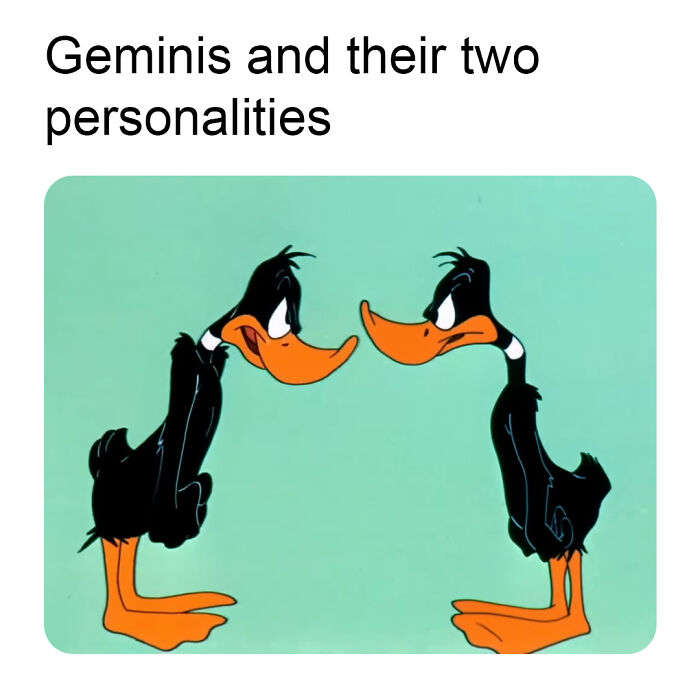 Two identical cartoon ducks face each other with a text about Gemini personalities, evoking nostalgia for old cartoons.