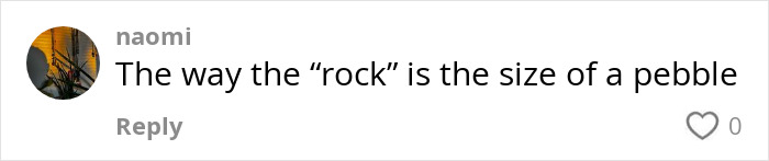 Comment on a proposal at a wedding, mentioning the "rock" being pebble-sized, sparking fury and debate.