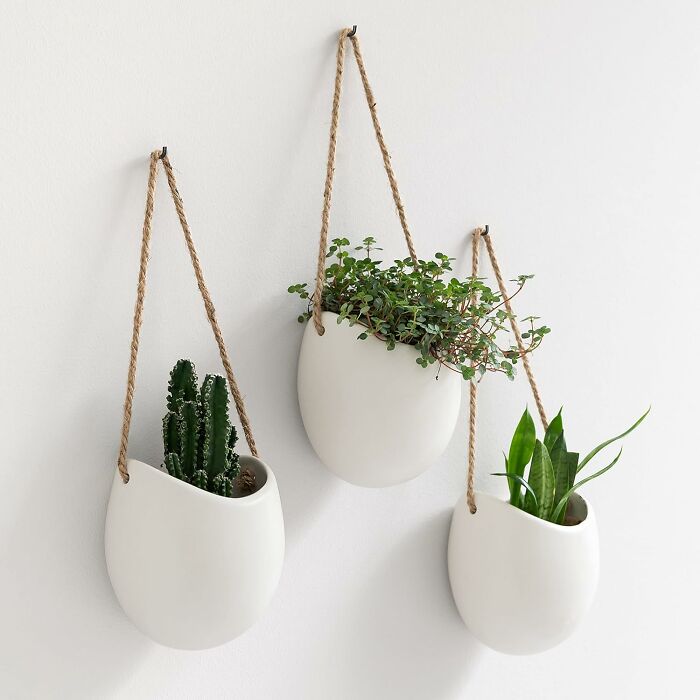 Hanging white ceramic planters with spring plants on a wall, enhancing decor.