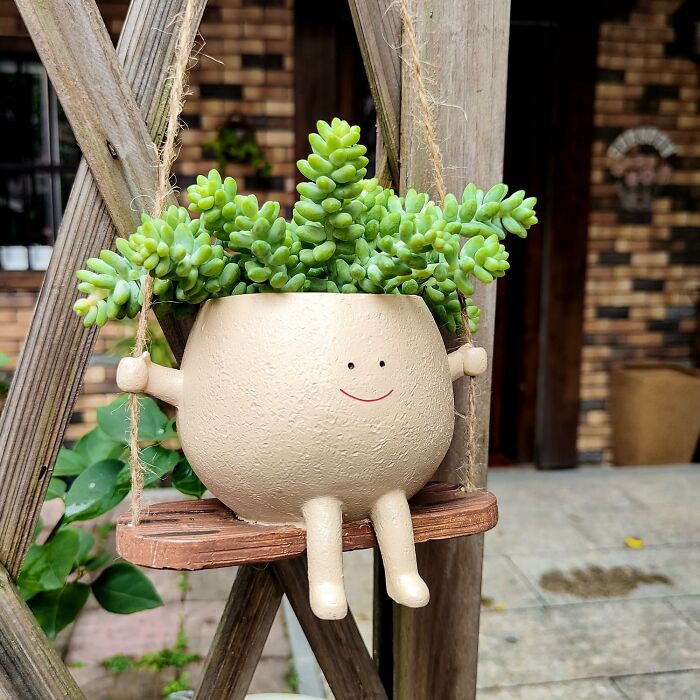Cute planter with succulent on a swing, enhancing backyard dreams in spring.