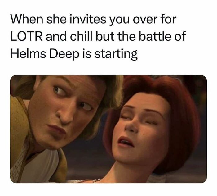 Characters from an old cartoon in a humorous Lord of the Rings meme, with a surprised expression.