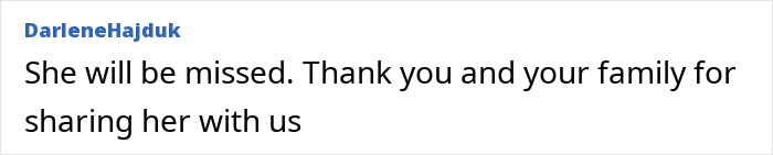 Comment expressing condolences for beloved YouTuber&rsquo;s passing.