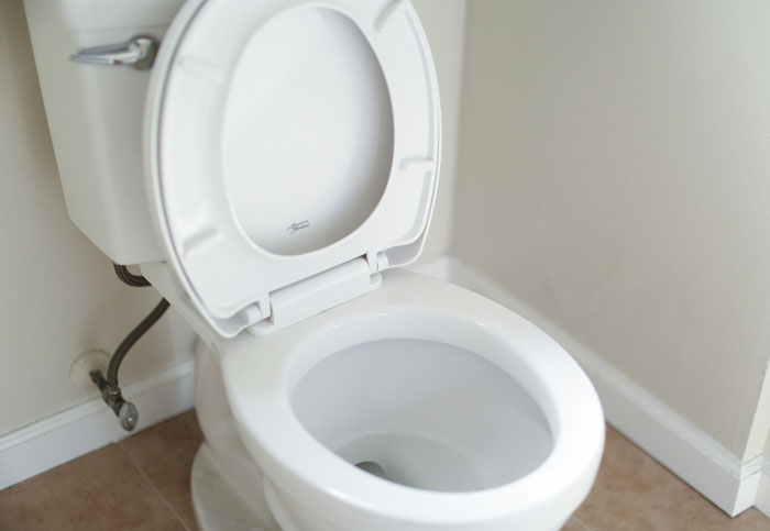 Open toilet seat in a bathroom corner, typical in American homes.