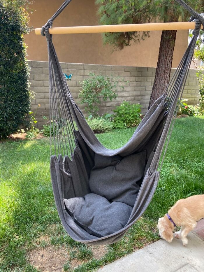 Hammock chair in a backyard with a dog nearby, showcasing spring must-haves for outdoor relaxation.