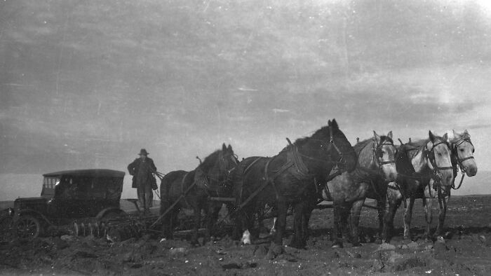 A rare vintage photo shows a team of horses pulling a plow next to an early automobile in a barren field.
