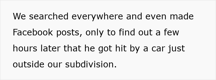 Text about searching everywhere and discovering a person hit by a car outside the subdivision.