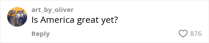 Comment asking "Is America great yet?" with 876 likes.