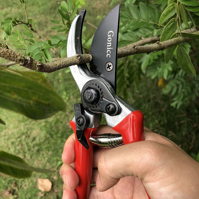 Hand using garden shears to cut a small branch, highlighting backyard dreams tools.