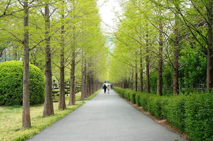 Hey Pandas, AITA For Going No Contact After My Family Ignored My Wife’s Surgery And Treated Me Like A Wallet? Hey Pandas, AITA For Going No Contact After My Family Ignored My Wife’s Surgery And Treated Me Like A Wallet?