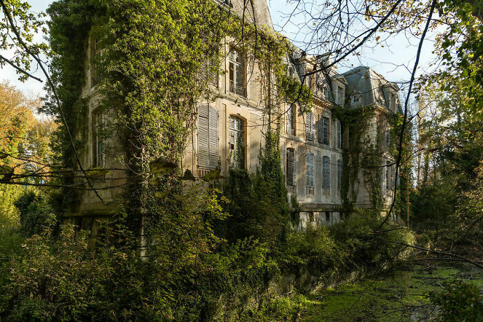 Abandoned place with ivy-covered stone mansion surrounded by overgrown vegetation, exuding an eerie, tranquil atmosphere.