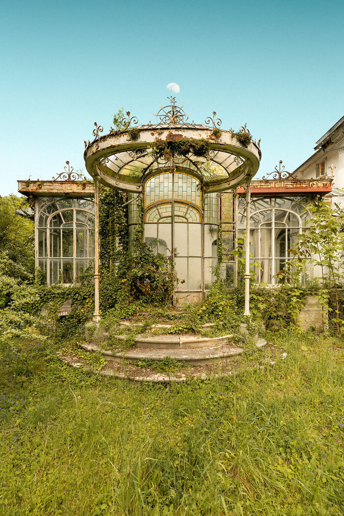 Abandoned glasshouse entrance overgrown with ivy, featuring ornate ironwork and step details.