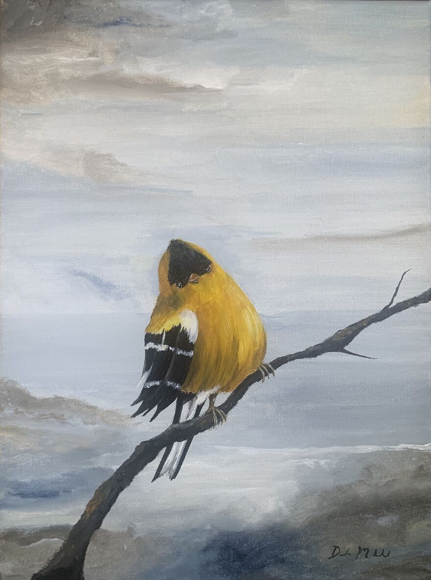 I Make Paintings Of Chubby Birds