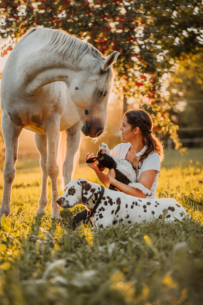 Woman with animals in a sunlit field, showcasing bonds between humans and animals.