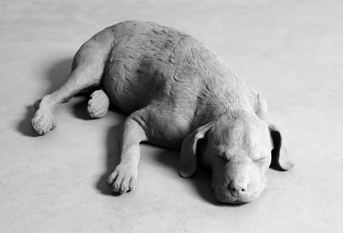 Monochrome sculpture of a sleeping dog by Hans Op De Beeck, capturing a hauntingly still moment.