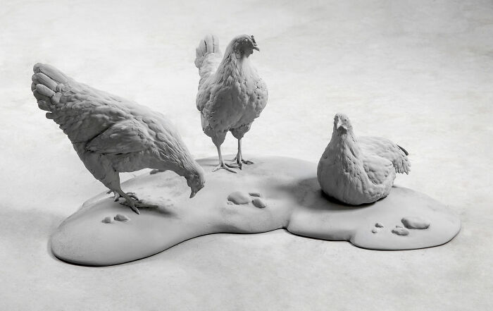 Monochrome sculptures of three chickens by Hans Op De Beeck, depicting a still and serene scene.