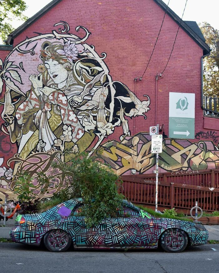 Graffiti-covered car with plants growing on top, parked in front of vibrant mural. Urban art scene in Canada.