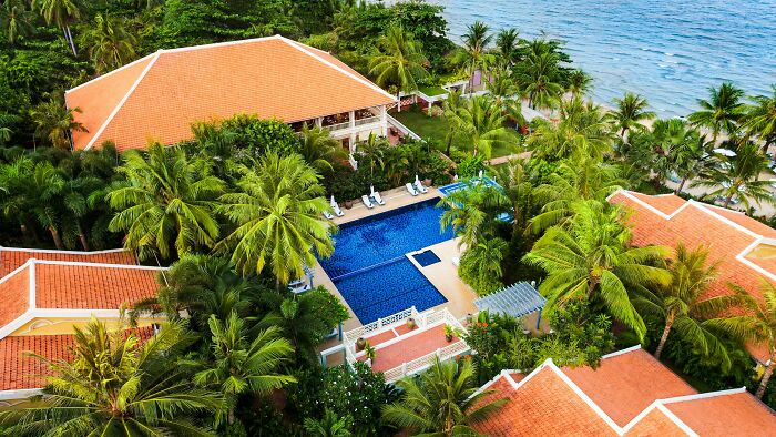 Luxury villa with pool surrounded by palm trees, offering a serene and private vacation experience near the ocean.