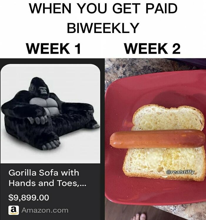 Biweekly pay humor meme showing a gorilla sofa in week 1 and a hot dog in plain bread for week 2.