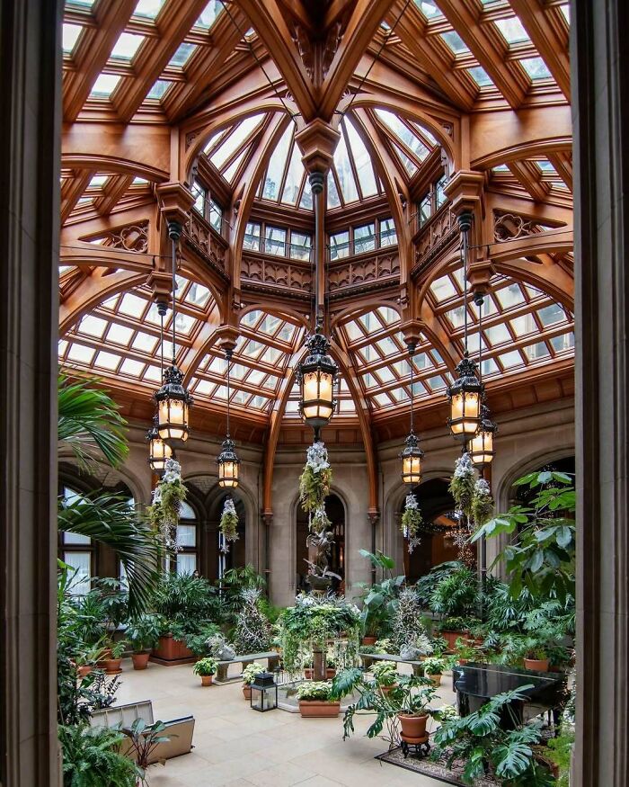 Ornate glass ceiling in vintage American architecture with hanging plants and elegant chandeliers.