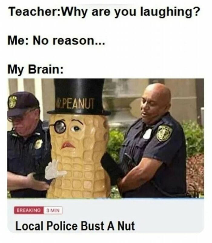 Police officers humorously arresting Mr. Peanut statue, captioned with "Local Police Bust A Nut." Part of Daily Humor Memes.