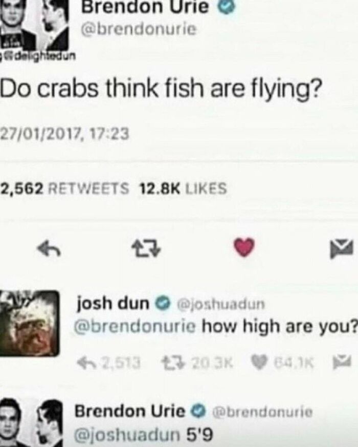 Humor meme tweet about crabs and fish with witty replies, showcasing daily comedic content to make people smile.