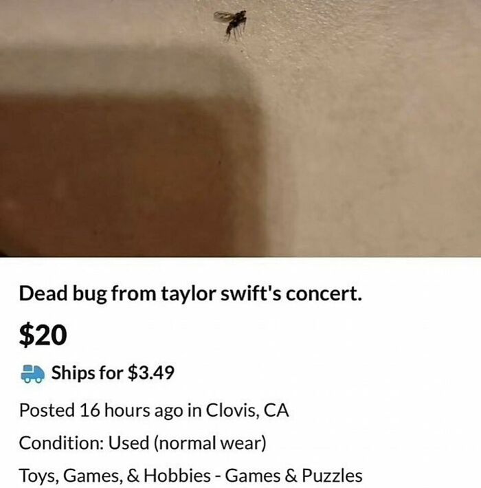 Dead bug listed online humorously for $20, related to a concert experience. “Daily Humor Memes” content.