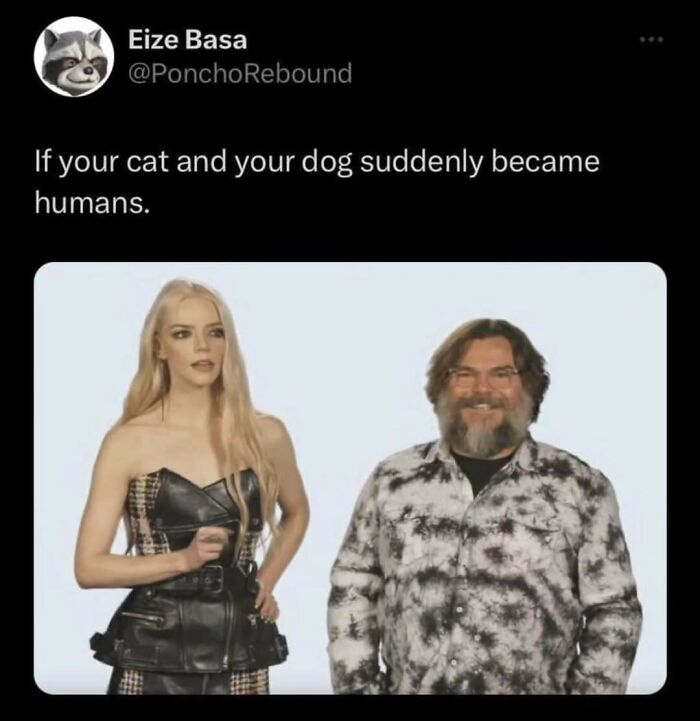 Humor meme showing a tweet with a man and woman, captioned: "If your cat and your dog suddenly became humans."