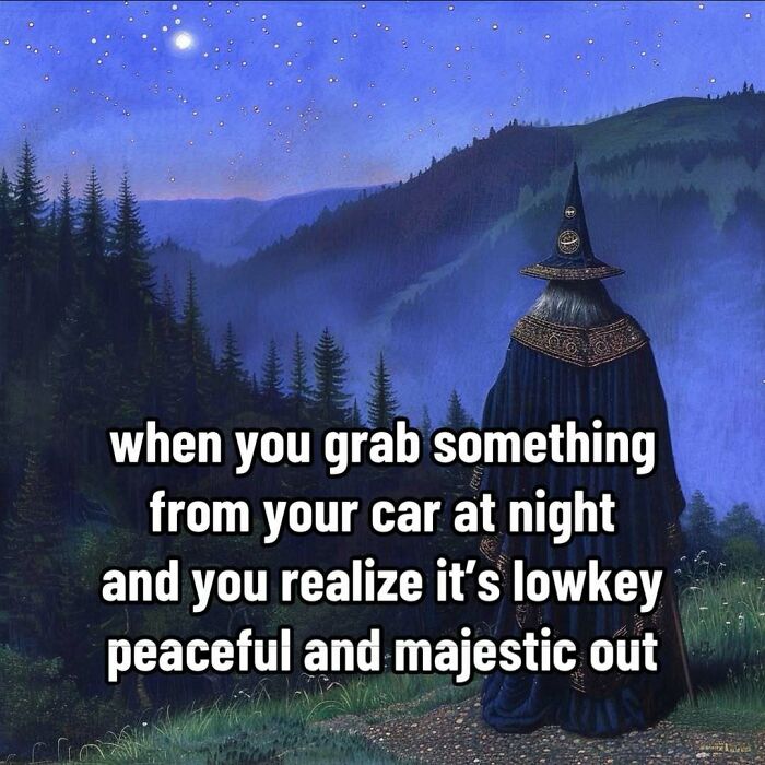 Wizard in a starry forest at night, capturing the essence of ancient wisdom with a humorous caption.