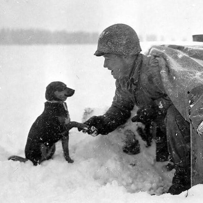 Soldier shaking hands with a dog in snowy historical wartime scene.
