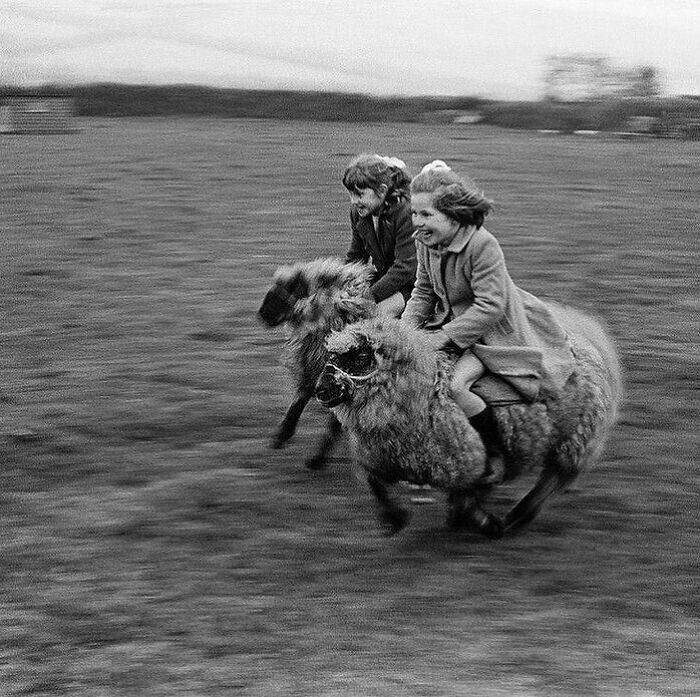Children riding toy sheep in a vintage photograph, capturing historical moments from the past.
