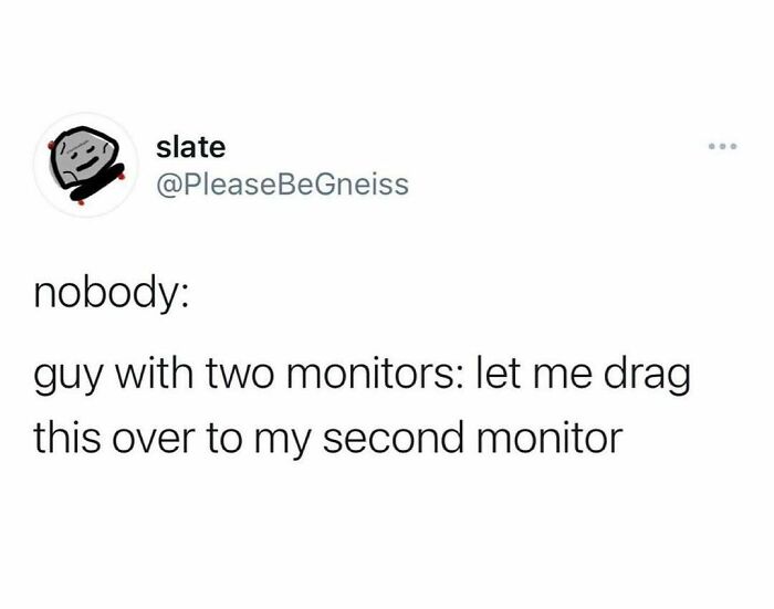 Humorous meme about work life, featuring a joke on using two monitors for multitasking.