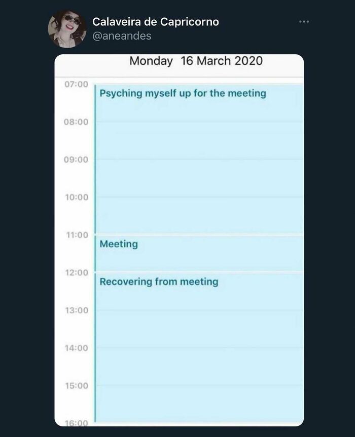 Humorous daily schedule showing work-related meeting prep and recovery.