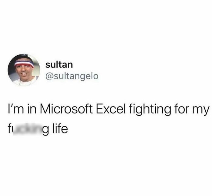 Humorous meme about struggling with Microsoft Excel at work.