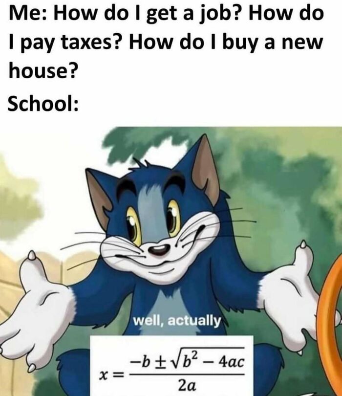 Funny work-related meme of a cartoon cat with math formula, humorously addressing life questions.