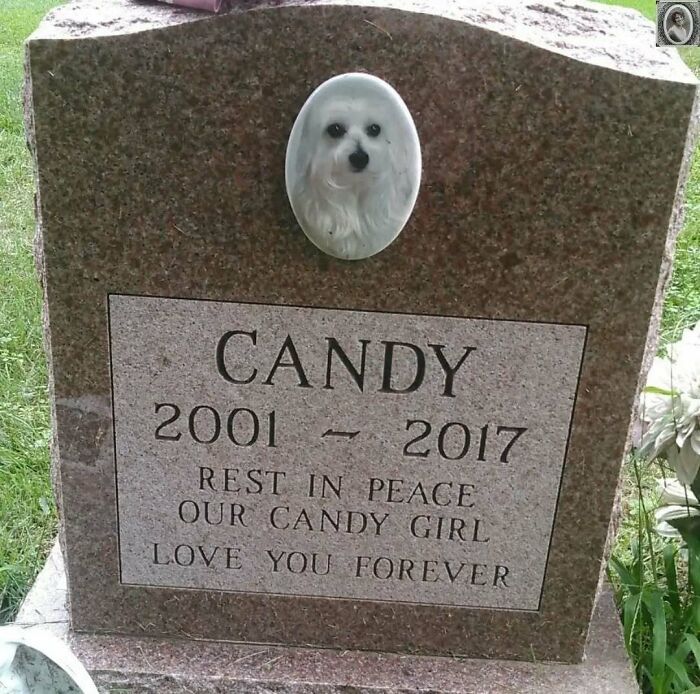 Headstone with a lovely portrait of a dog named Candy, inscribed with heartfelt messages from 2001 to 2017.