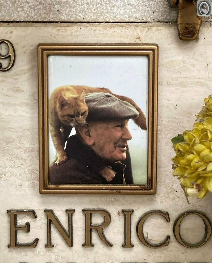 Portrait of an elderly man with a cat on his shoulder, framed on a headstone with the name Enrico.