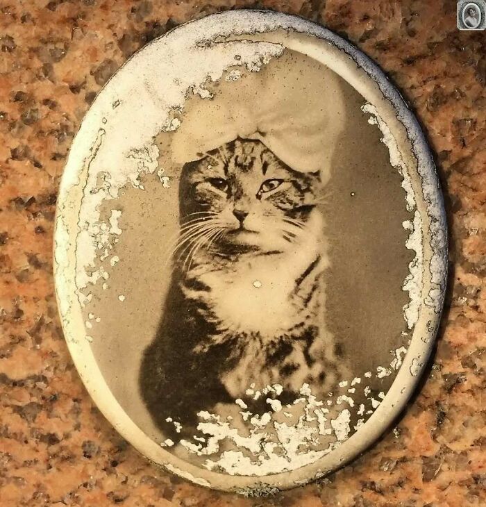 A vintage headstone portrait of a cat with a weathered finish, showcasing unique memorial art.