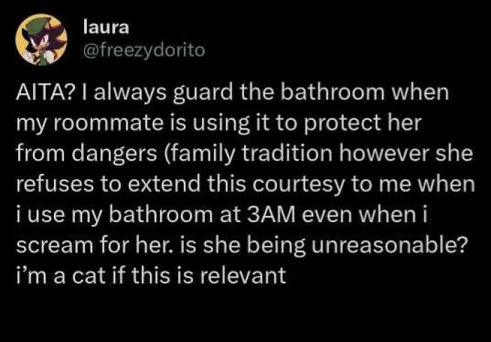 Cat humor meme about guarding the bathroom and roommate dynamics at 3AM.
