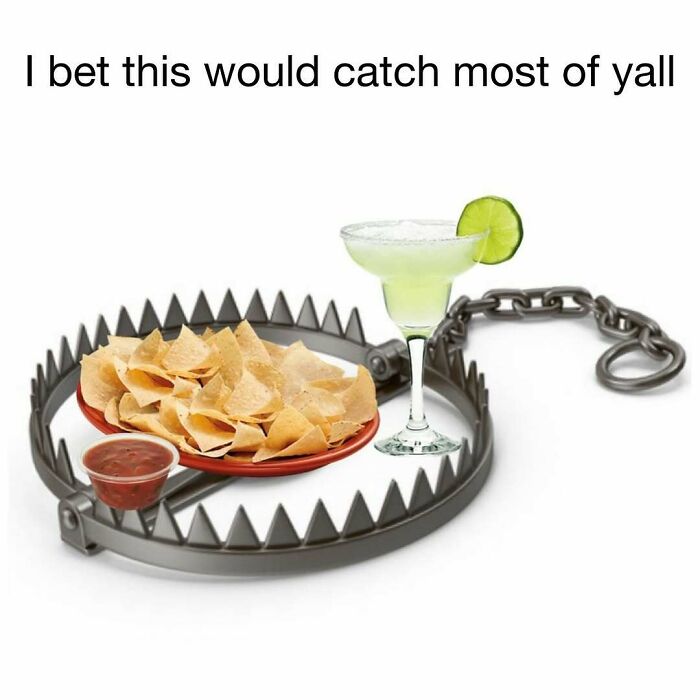 Middle class fancy meme with nachos and margarita on a bear trap, humorously implying an irresistible lure.