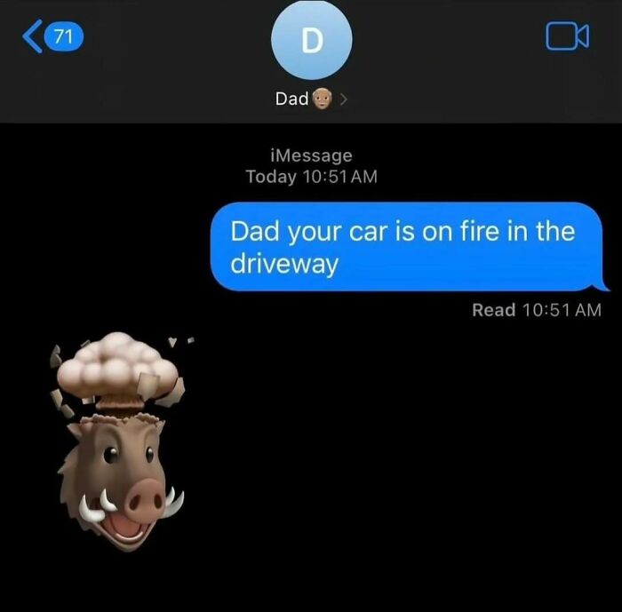 Text message humor meme with emoji reaction of a surprised animal.