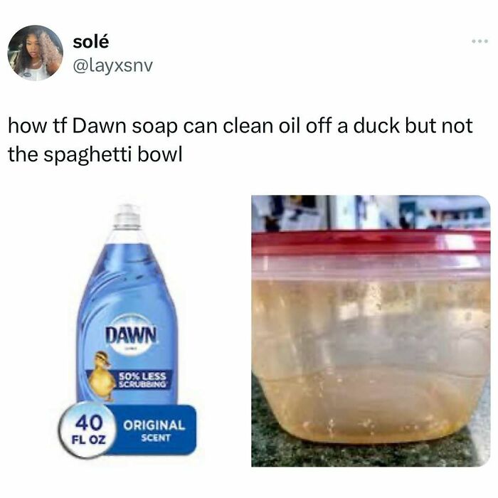Dawn soap meme jokes about cleaning oil off ducks but not a greasy spaghetti bowl, representing relatable middle-class humor.