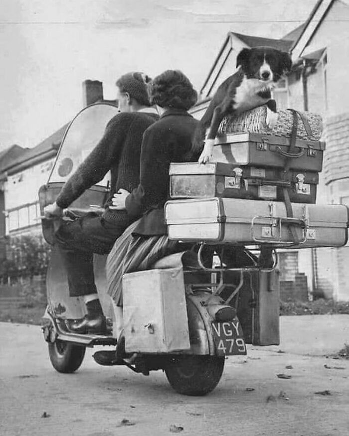 Vintage scene with couple and dog on a scooter loaded with luggage, evoking nostalgia.