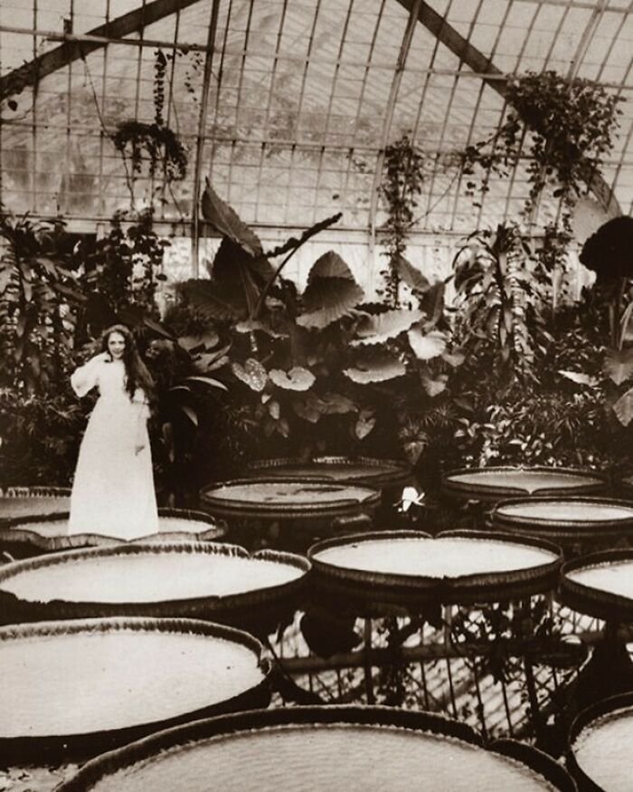 Woman in a vintage greenhouse, standing by large lily pads, capturing a gorgeous historical moment.