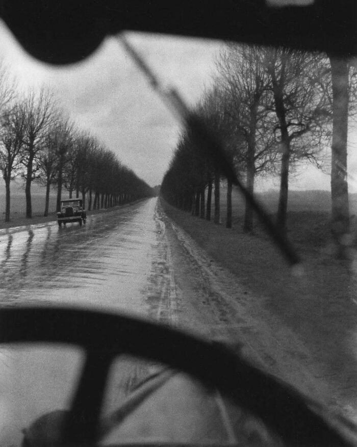 Vintage car driving on a tree-lined road, evoking nostalgia and historical charm.