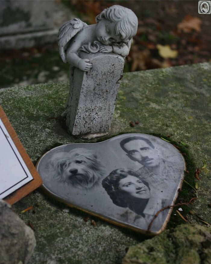 Heart-shaped headstone portrait featuring a couple and a dog, with an angel statue leaning on a gravestone.