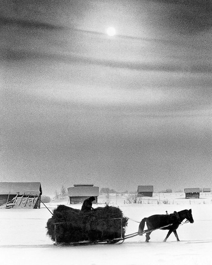 Horse pulling a hay-filled sled in a snowy landscape, under a bright moon, evokes nostalgia with its historical charm.