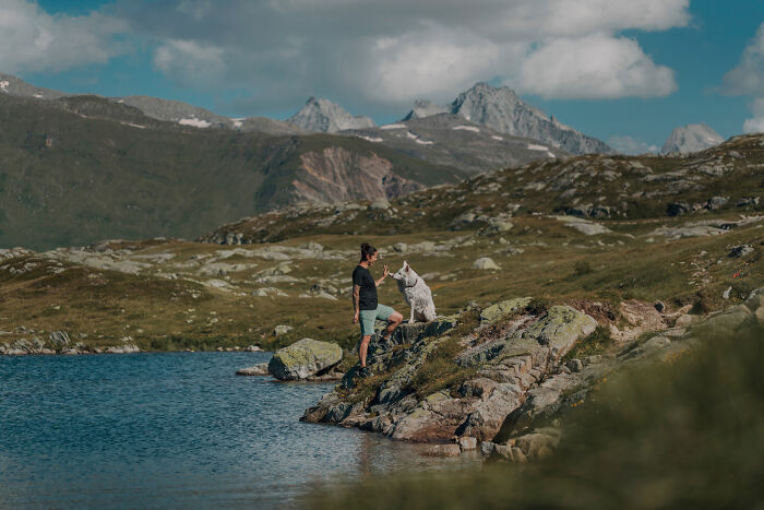 Man and dog enjoying a mountain view by a lake, capturing their special bond in nature.