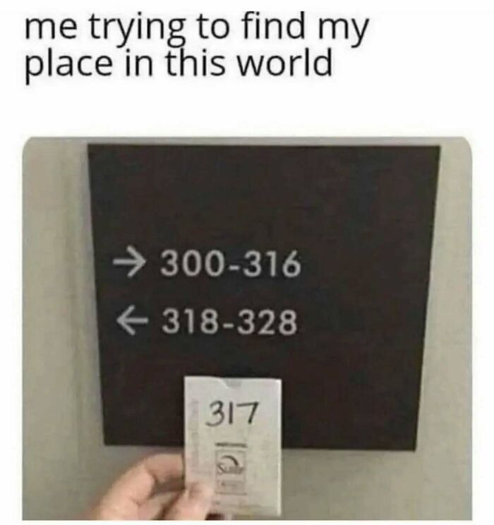 Sign confusion meme from Diary Introverts showing missing room number 317.