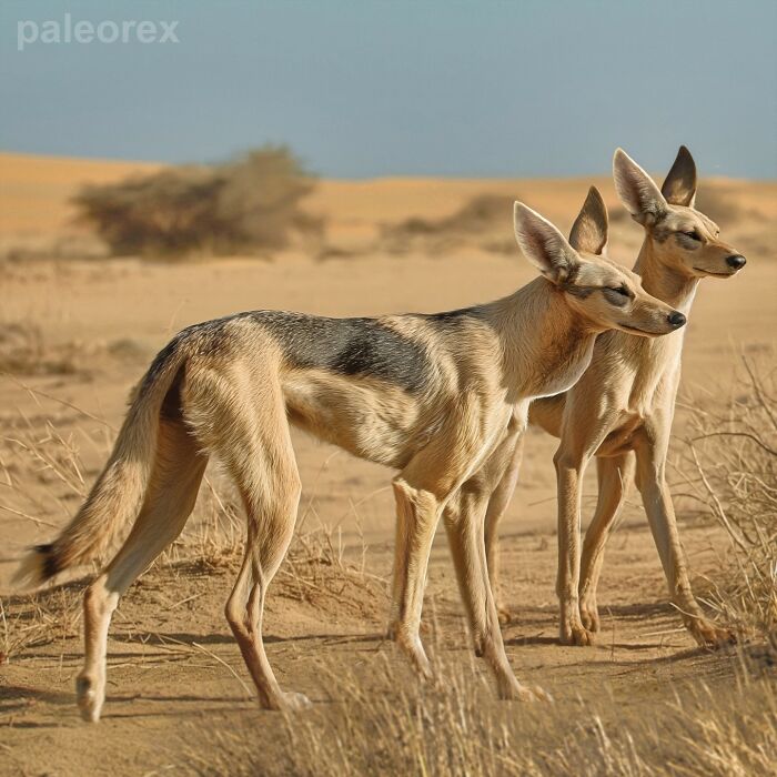 Speculative evolution of futuristic animals with long ears in a desert landscape.